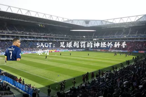 SAOT：足球判罚的神经外科手术刀